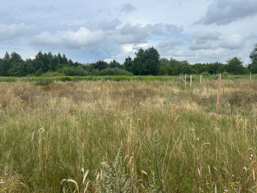 Działki budowlane z WZ, w zielonej części Poznania Poznań - zdjęcie 3