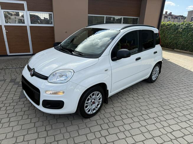 Fiat Panda 1,2 69KM  Klimatyzacja  1Właściciel Orzech - zdjęcie 12