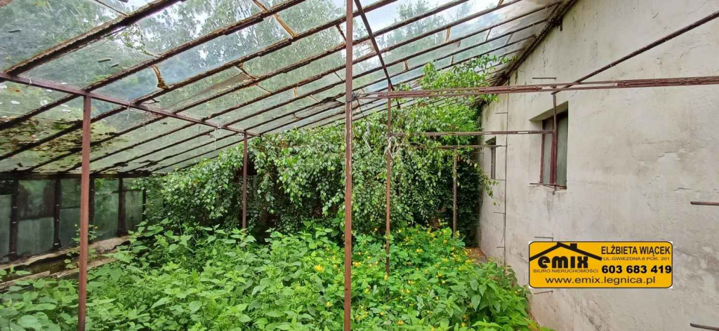 Działka z domem i możliwością jego rozbudowy - 5 km od Chojnowa Chojnów - zdjęcie 8