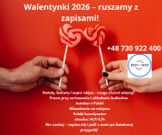 Praca przy kwiatach - ZAPISY na wyjazd 2026 r HOLANDIA