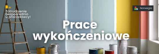 Norwegia. Płytkarz/Glazurnik (kominki), prace wykończeniowe (m/k) Gdańsk - zdjęcie 1