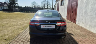 Jaguar XF Kamera-Automat Paproć - zdjęcie 7