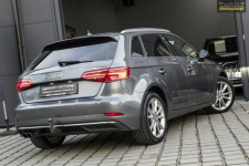 Audi A3 Led / S-tronic / Duża Navi / Skóry / HAK / Gwarancja na Rok Dębogórze - zdjęcie 8