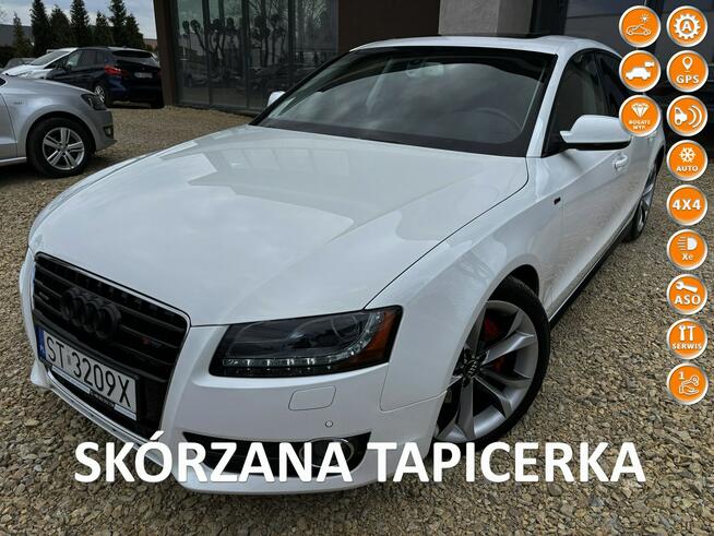 A5 3.0 TDI 239KM s-line NAVI xenon SKÓRA klima SERWIS bezwypadek 2010 Tychy - zdjęcie 1