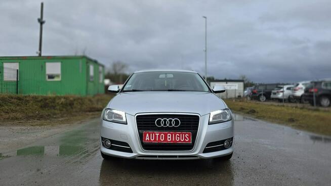 Audi A3 Led Xenon Climatronic  zarejestrowane   super stan Lębork - zdjęcie 2