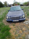 Syndyk sprzeda samochód Mercedes Benz 210, 1996 r.