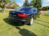 Audi A6 Zadbane rodzinne - bezwypadkowe z oryginalnym przebiegiem. Poznań - zdjęcie 5