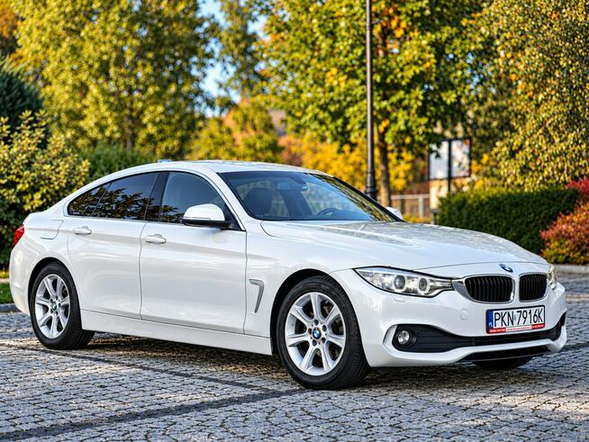 BMW 420 Sadlno - zdjęcie 3