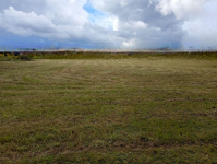 Działka z WZ Borsukówka gm. Dobrzyniewo Duże Borsukówka - zdjęcie 3