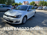 Volkswagen Golf HIGHLINE klimatronik ksenon serwis