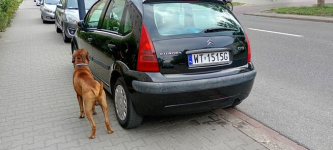 Citroen C3 107tys km,1.1 benzyna Warszawa - zdjęcie 8