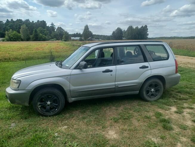 Sprzedam świetne auto ! Włodawa - zdjęcie 1