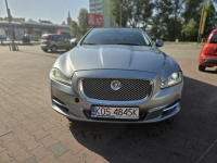 Jaguar XJ351 , krajowy, zamiana Katowice - zdjęcie 8