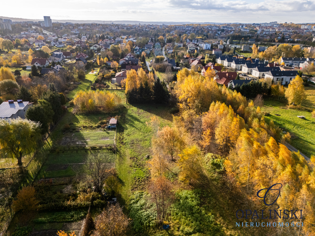 Kameralna okolica | Krakowska | WZ | Zieleń Rzeszów - zdjęcie 6