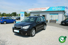 Subaru Forester 4x4 Kamera Szyberdach G.Fotele F-Marża Warszawa - zdjęcie 1