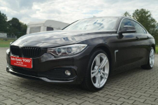 BMW 420D GRAND COUPE 190KM I-WSZY WŁAŚCICIEL STAN BDB ZADBANY Goczałkowice-Zdrój - zdjęcie 9