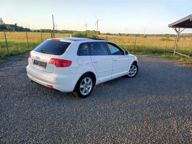Audi A3 1.6 MPI Panorama z Niemiec Rymanów - zdjęcie 4