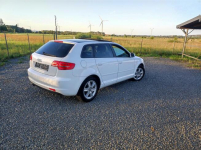 Audi A3 1.6 MPI Panorama z Niemiec Rymanów - zdjęcie 4