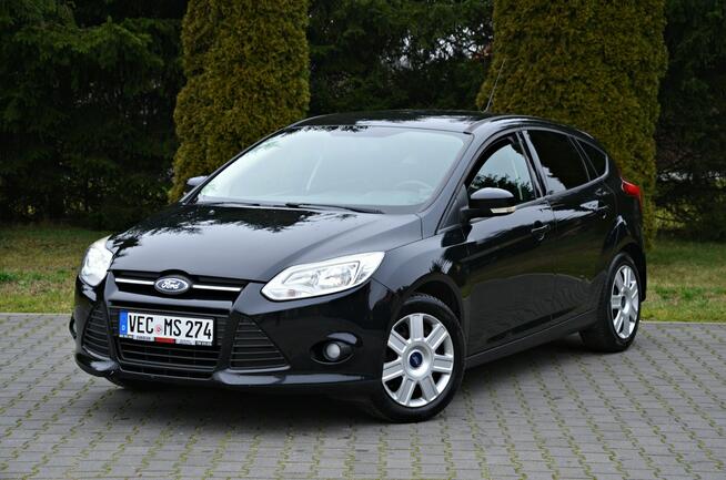 Ford Focus 1.6 16V 125KM Serwis! Super Stan! Zobacz!!! Ostrów Mazowiecka - zdjęcie 2