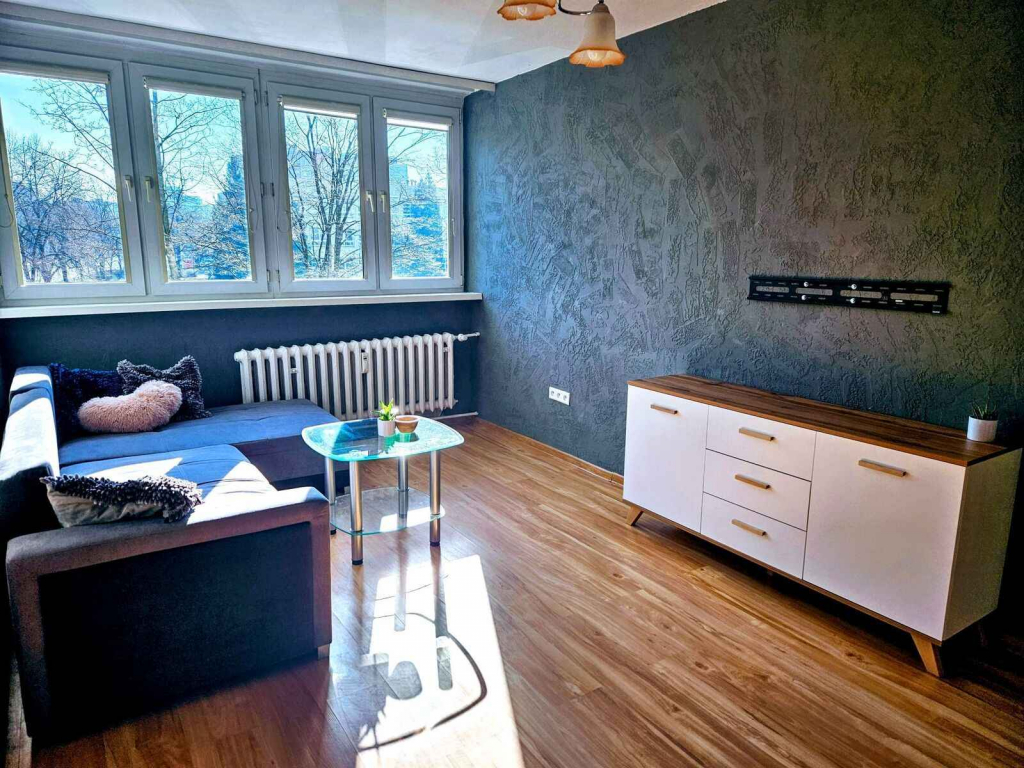 2pok, 39met, Okolice Placu Jana Pawła II PIWNICA/WINDA (Wrocław) Stare Miasto - zdjęcie 2