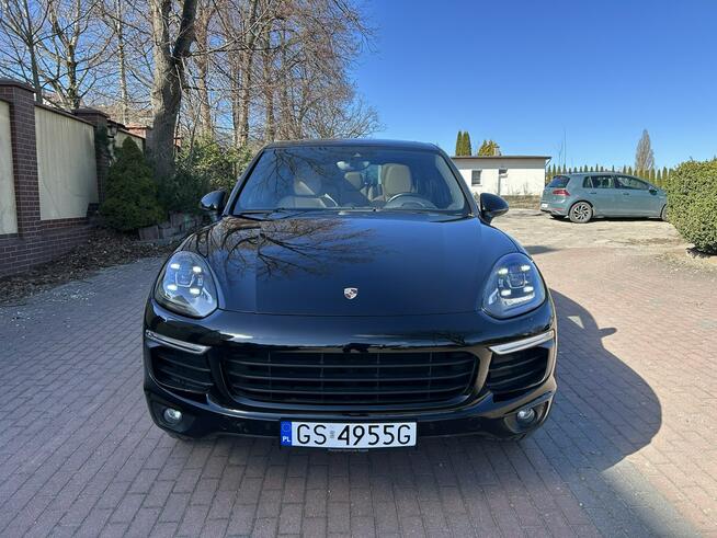 CAYENNE PLATINUM EDITION Kobylnica - zdjęcie 2