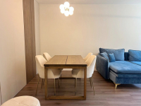 Elegancki apartament w wysokim standardzie, Sołacz Poznań - zdjęcie 6