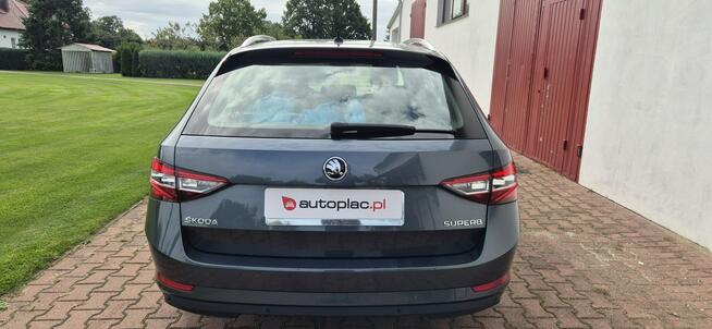 Škoda Superb SALON PL-DSG-BOGATE WYPOSAŻENIE Paproć - zdjęcie 6