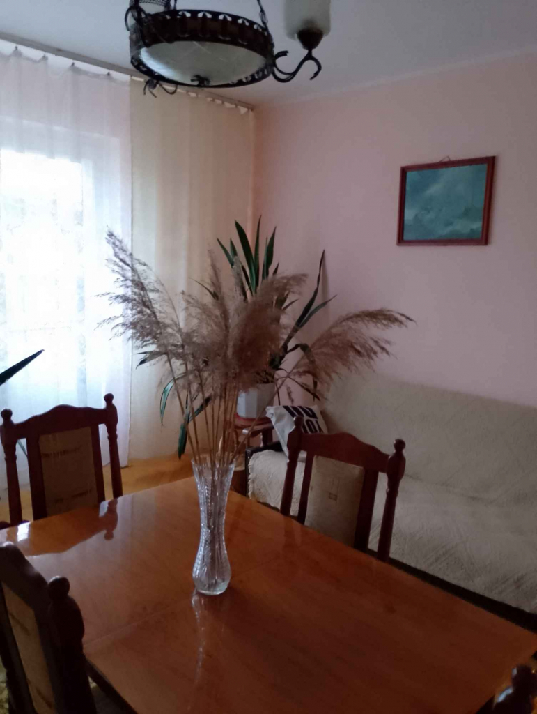 Do wynajęcia dom Rybie - zdjęcie 6