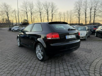 Audi A3 8P S-Line 2008 1.8 TFSI 160km alkantara skóry R18 nowy rozrząd Słupsk - zdjęcie 5