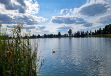 Działka nad jeziorem. Strykowo - zdjęcie 2