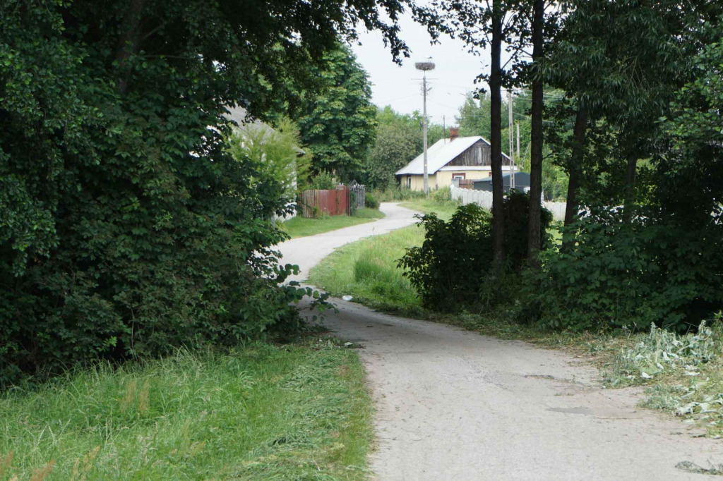 Siedlisko pod Adamowem pow. łukowski woj. lubelskie Łuków - zdjęcie 9