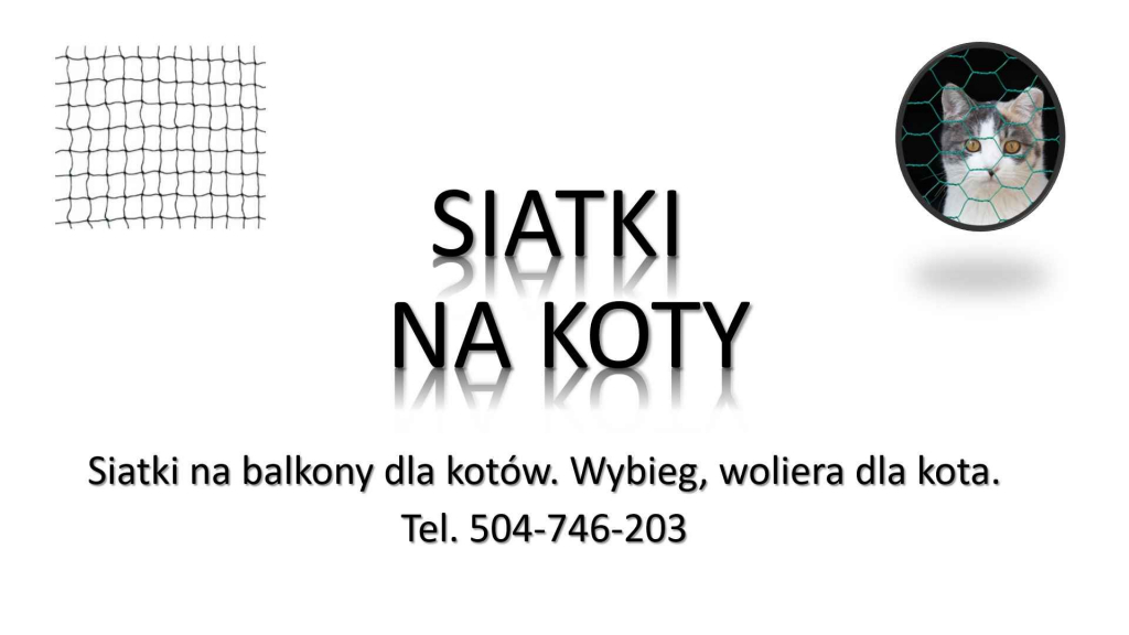 Woliera dla kota, cena i montaż, tel. 504-746-203  wybieg dla kota Psie Pole - zdjęcie 1