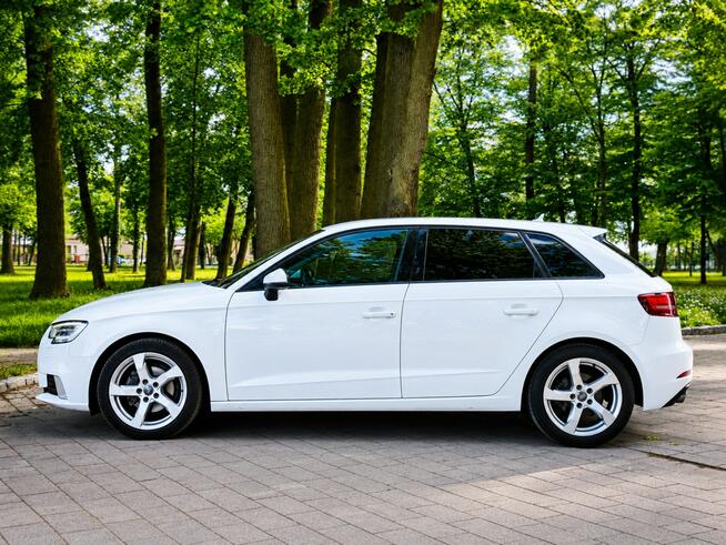 Audi A3 Sadlno - zdjęcie 5