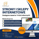 Sklepy i strony internetowe stworzone z myślą o realnych efektach!