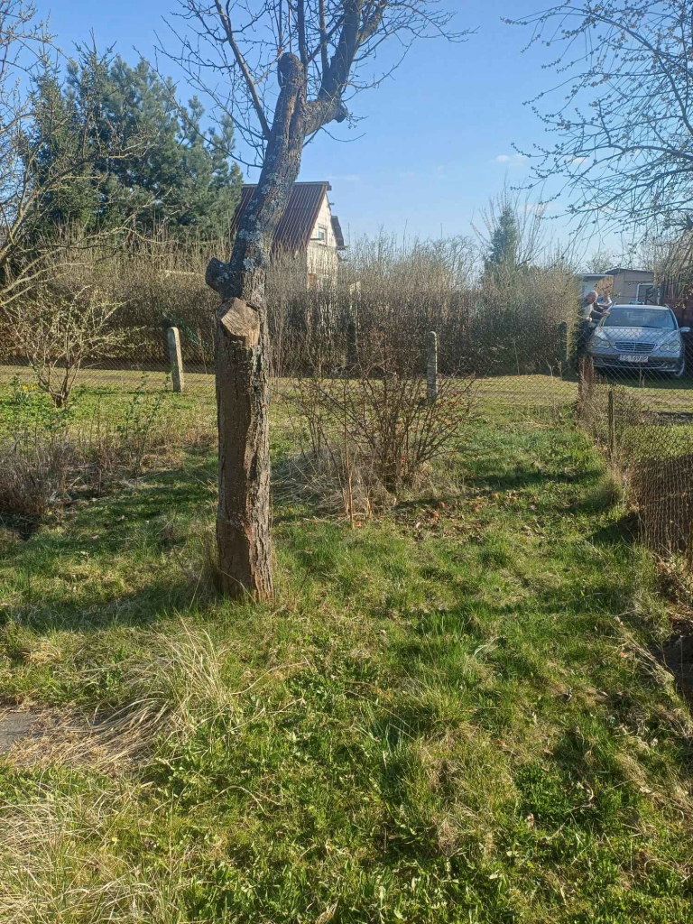 Działka tekreacyjna z murowaną altanką Gorzów Wielkopolski - zdjęcie 3