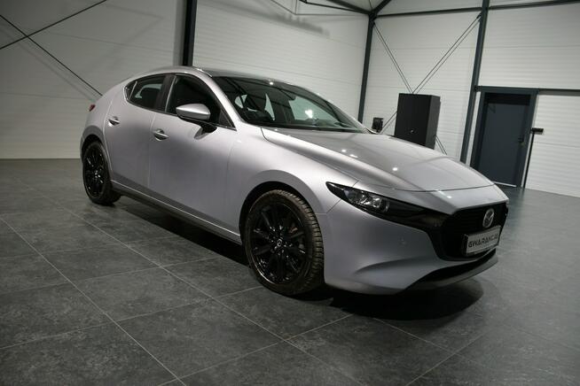 |kamera360|nawi|android|hud|100% bezwypadkowa|asystent martwego pola| Alwernia - zdjęcie 6