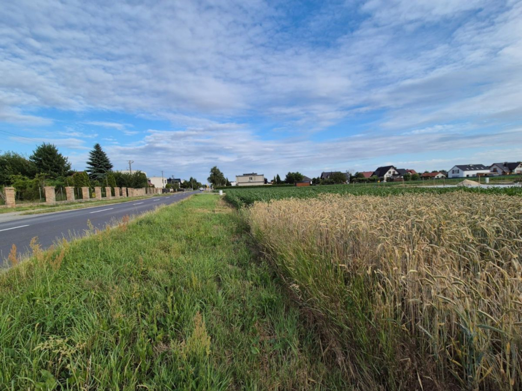 Działki budowlane z WZ - Dopiewo. Dopiewo - zdjęcie 11