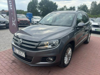 Volkswagen Tiguan CUP, 4Motion, DSG,Gwarancja Sade Budy - zdjęcie 3