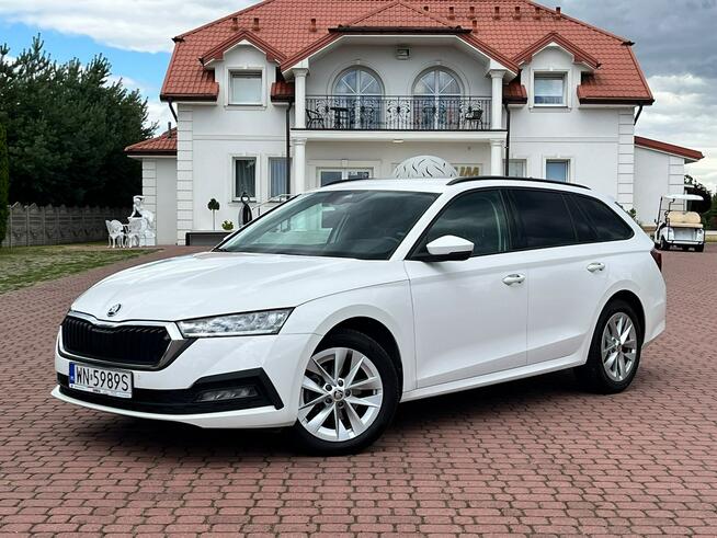Octavia 2.0 TDI | 2023 | Serwis ASO | Salon PL | 116 KM | automat Nowe Iganie - zdjęcie 12