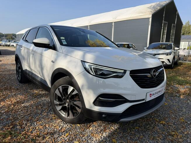 Opel Grandland X 1.6 Cdti 120KM Full opcja Automat Panorama Skóra Otwock Mały - zdjęcie 2