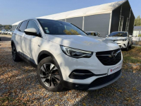 Opel Grandland X 1.6 Cdti 120KM Full opcja Automat Panorama Skóra Otwock Mały - zdjęcie 2