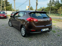 Kia Ceed 1.4 benzyna, piękny kolor, stan wzorowy. Gołków - zdjęcie 7