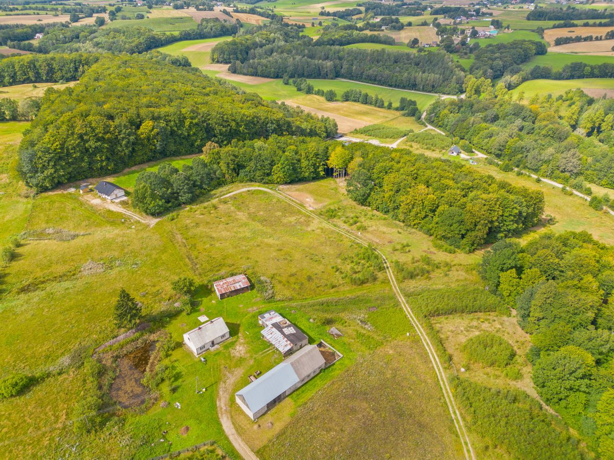 Malownicza okolica i prywatny las. Blisko jezioro Trzepowo - zdjęcie 5