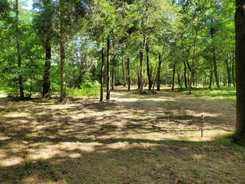 Działka rekreacyjna 30 arów nad rzeką lubaczówka. Czerwona Wola - zdjęcie 3