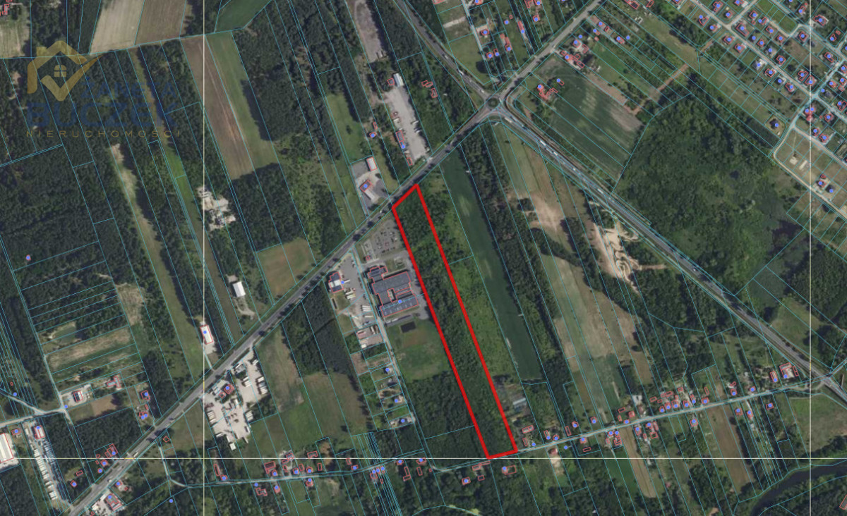 Na sprzedaż działka inwestycyjna – Kuznocin Kuznocin - zdjęcie 3