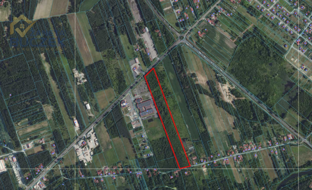 Na sprzedaż działka inwestycyjna – Kuznocin Kuznocin - zdjęcie 3