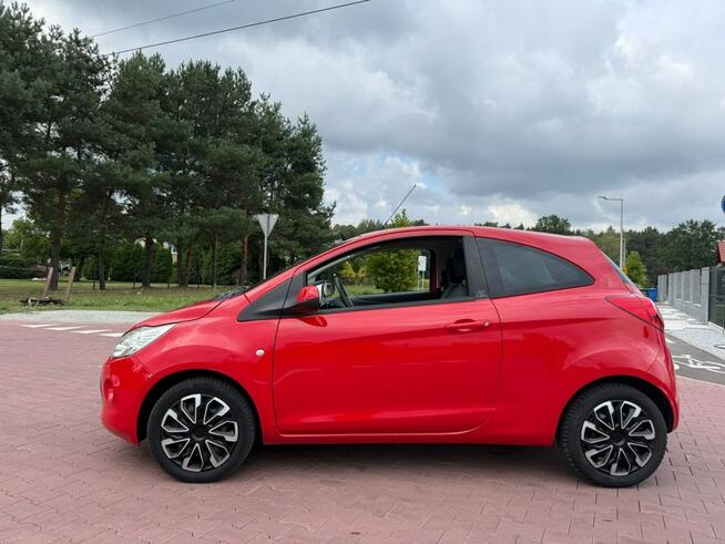 Ford KA Mikołów - zdjęcie 6