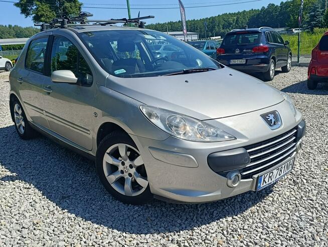 Peugeot 307 Krajowy, benzyna 1.6, klimatyzacja Dulowa - zdjęcie 8