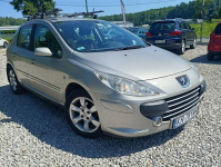 Peugeot 307 Krajowy, benzyna 1.6, klimatyzacja Dulowa - zdjęcie 8