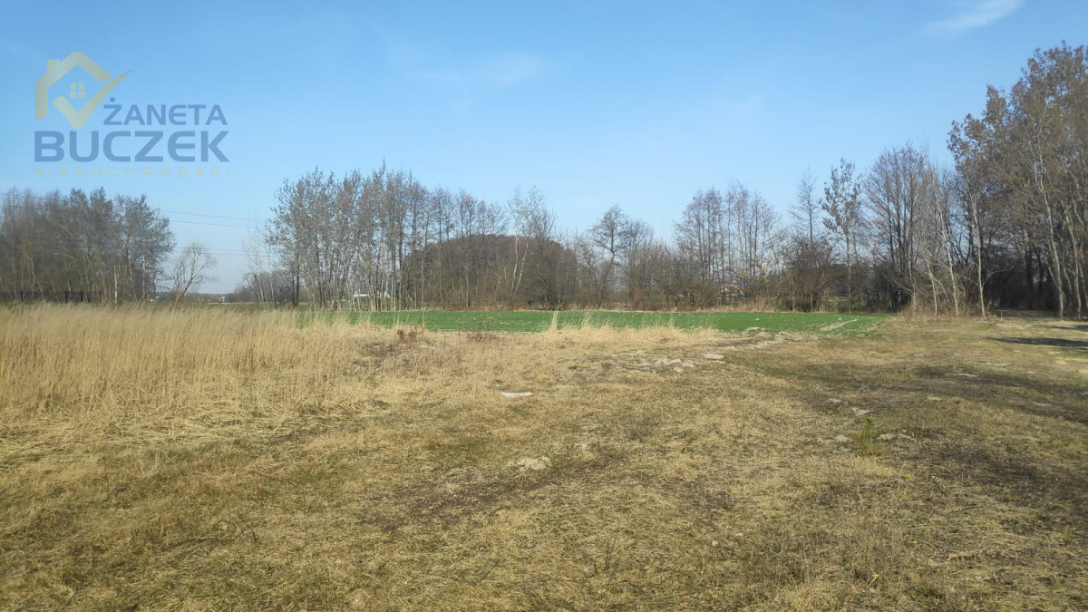 Sprzedam działki budowlano-usługowe w Lubiejewie Lubiejew - zdjęcie 5